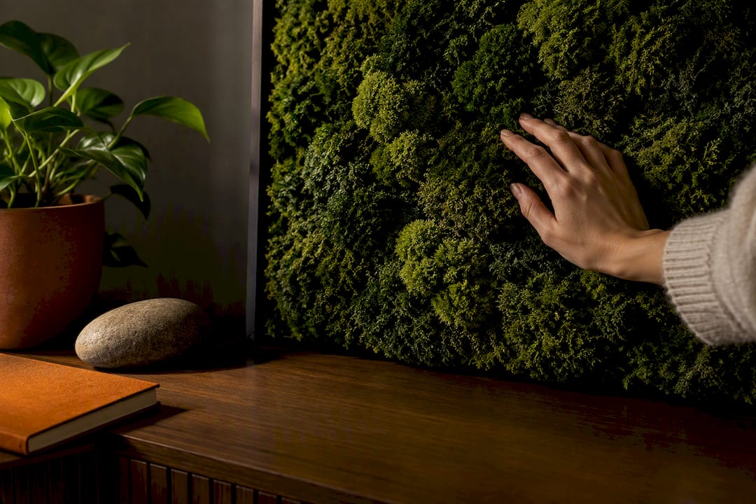 13 renter safe eco wall decor ideas: removable, no drill 3 Textured preserved moss wall artwork
