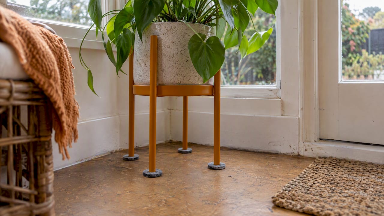 21 Day Rule: How NZ Renters Add Colour Without Losing Their Bond 2 Plant stand and felt pad protect rental flooring